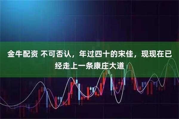 金牛配资 不可否认，年过四十的宋佳，现现在已经走上一条康庄大道