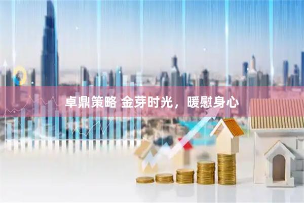 卓鼎策略 金芽时光，暖慰身心