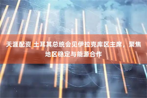 天涯配资 土耳其总统会见伊拉克库区主席，聚焦地区稳定与能源合作