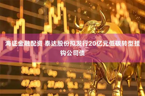 海证金融配资 泰达股份拟发行20亿元低碳转型挂钩公司债